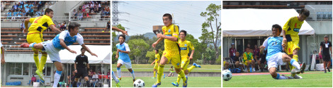 160727_seibo.jpg