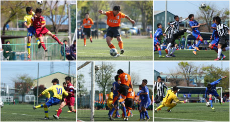 140412_budai.jpg